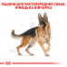 Корм для дорослих собак ROYAL CANIN GERMAN SHEPHERD ADULT 11 кг