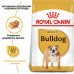 Корм для собак ROYAL CANIN BULLDOG ADULT 3 кг