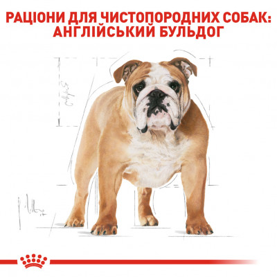 Корм для собак ROYAL CANIN BULLDOG ADULT 3 кг