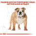 Корм для собак ROYAL CANIN BULLDOG ADULT 3 кг