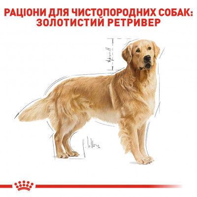 Корм для дорослих собак ROYAL CANIN GOLDEN RETRIEVER ADULT 12 кг