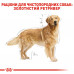 Корм для дорослих собак ROYAL CANIN GOLDEN RETRIEVER ADULT 12 кг