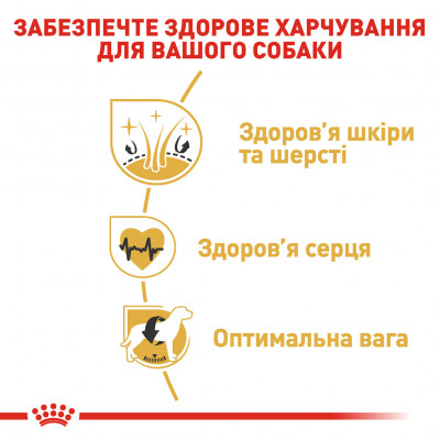 Корм для дорослих собак ROYAL CANIN GOLDEN RETRIEVER ADULT 12 кг