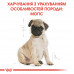 Корм для цуценят ROYAL CANIN PUG PUPPY 1.5 кг