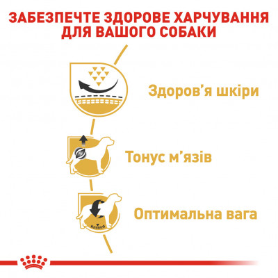 Корм для взрослых собак ROYAL CANIN PUG ADULT 1.5 кг