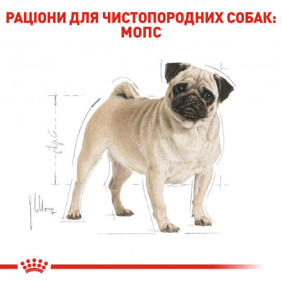 Корм для взрослых собак ROYAL CANIN PUG ADULT 3 кг