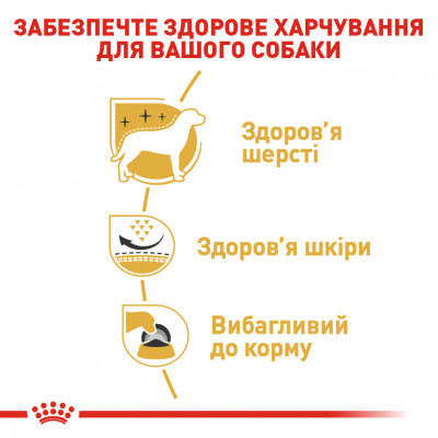 Корм для дорослих собак ROYAL CANIN WESTIE ADULT 3 кг