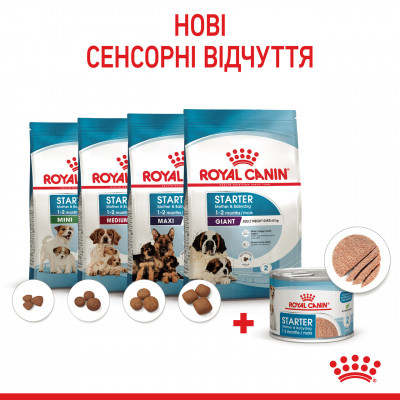Вологий корм для новонароджених собак ROYAL CANIN STARTER MOUSE 195 г