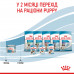 Вологий корм для новонароджених собак ROYAL CANIN STARTER MOUSE 195 г