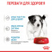 Вологий корм для цуценят ROYAL CANIN MINI PUPPY 85 г * 12 шт блок