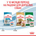 Вологий корм для цуценят ROYAL CANIN MINI PUPPY 85 г * 12 шт блок