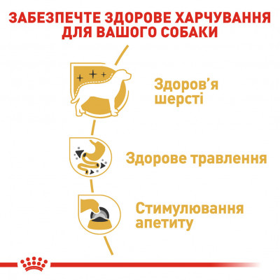 Вологий корм для дорослих собак ROYAL CANIN CHIHUAHUA ADULT 85 г *12 шт блок