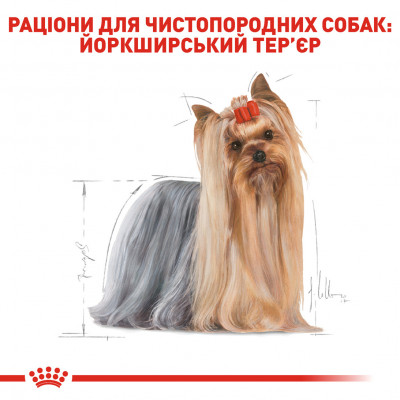 Вологий корм для дорослих собак ROYAL CANIN YORKSHIRE ADULT 85 г * 12 шт блок