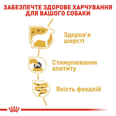 Вологий корм для дорослих собак ROYAL CANIN YORKSHIRE ADULT 85 г * 12 шт блок