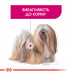 Корм для собак ROYAL CANIN MINI EXIGENT 3 кг
