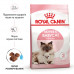 Корм для новонароджених кошенят і кішок ROYAL CANIN MOTHER&BABYCAT 400 г