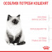 Корм для кошенят ROYAL CANIN KITTEN 400 г