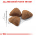 Корм для домашніх котів ROYAL CANIN INDOOR 10 кг