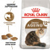 Корм для зрілих домашніх котів ROYAL CANIN AGEING 12+  2 кг