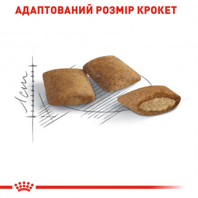Корм для зрілих домашніх котів ROYAL CANIN AGEING 12+  2 кг