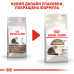 Корм для зрілих домашніх котів ROYAL CANIN AGEING 12+  2 кг
