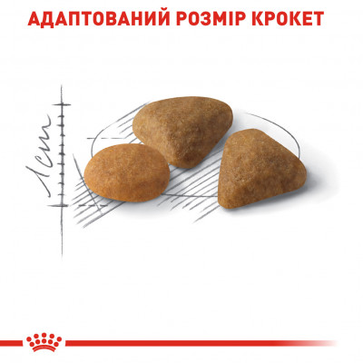 Корм для кошек ROYAL CANIN EXIGENT SAVOUR 2 кг