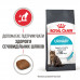 Корм для кошек ROYAL CANIN URINARY CARE 10 кг