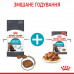 Корм для кошек ROYAL CANIN URINARY CARE 10 кг