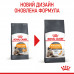 Корм для котів ROYAL CANIN HAIR&SKIN CARE 4 кг