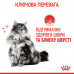 Корм для котів ROYAL CANIN HAIR&SKIN CARE 10 кг