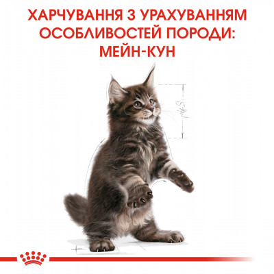 Корм для кошенят ROYAL CANIN MAINECOON KITTEN 400 г