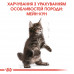 Корм для кошенят ROYAL CANIN MAINECOON KITTEN 400 г