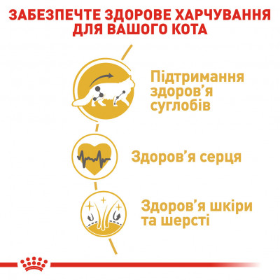 Корм для дорослих котів ROYAL CANIN MAINECOON ADULT 10 кг