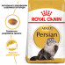 Корм для дорослих котів ROYAL CANIN PERSIAN ADULT 2 кг
