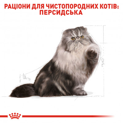 Корм для дорослих котів ROYAL CANIN PERSIAN ADULT 2 кг