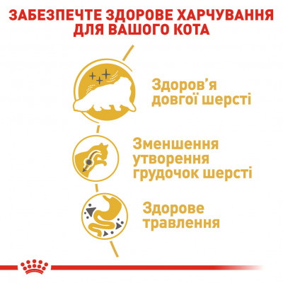 Корм для дорослих котів ROYAL CANIN PERSIAN ADULT 2 кг