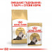 Корм для дорослих котів ROYAL CANIN PERSIAN ADULT 2 кг