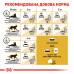 Корм для дорослих котів ROYAL CANIN PERSIAN ADULT 2 кг