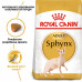 Корм для дорослих котів ROYAL CANIN SPHYNX ADULT 2 кг