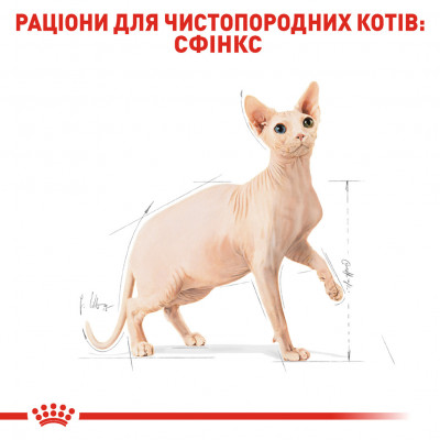 Корм для дорослих котів ROYAL CANIN SPHYNX ADULT 10 кг