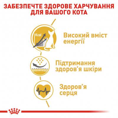 Корм для дорослих котів ROYAL CANIN SPHYNX ADULT 10 кг