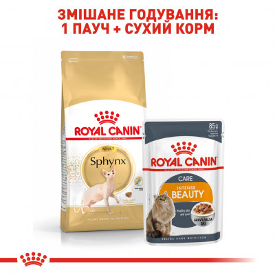 Корм для дорослих котів ROYAL CANIN SPHYNX ADULT 10 кг