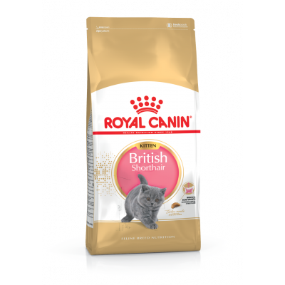 Корм для кошенят ROYAL CANIN KITTEN BRITISH SHORTHAIR 10 кг