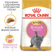 Корм для кошенят ROYAL CANIN KITTEN BRITISH SHORTHAIR 10 кг