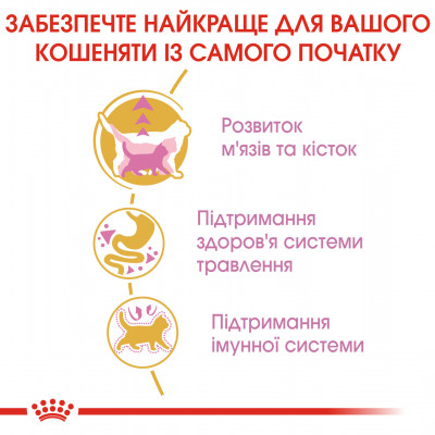 Корм для кошенят ROYAL CANIN KITTEN BRITISH SHORTHAIR 10 кг