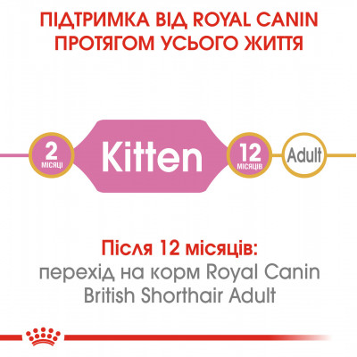 Корм для кошенят ROYAL CANIN KITTEN BRITISH SHORTHAIR 10 кг