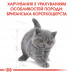 Корм для кошенят ROYAL CANIN KITTEN BRITISH SHORTHAIR 10 кг