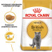 Корм для дорослих котів ROYAL CANIN BRITISH SHORTHAIR ADULT 2 кг