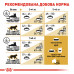 Корм для дорослих котів ROYAL CANIN BRITISH SHORTHAIR ADULT 10 кг