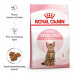 Корм для стерилизованных котят ROYAL CANIN KITTEN STERILISED 2 кг